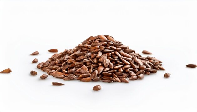 Basil Seeds